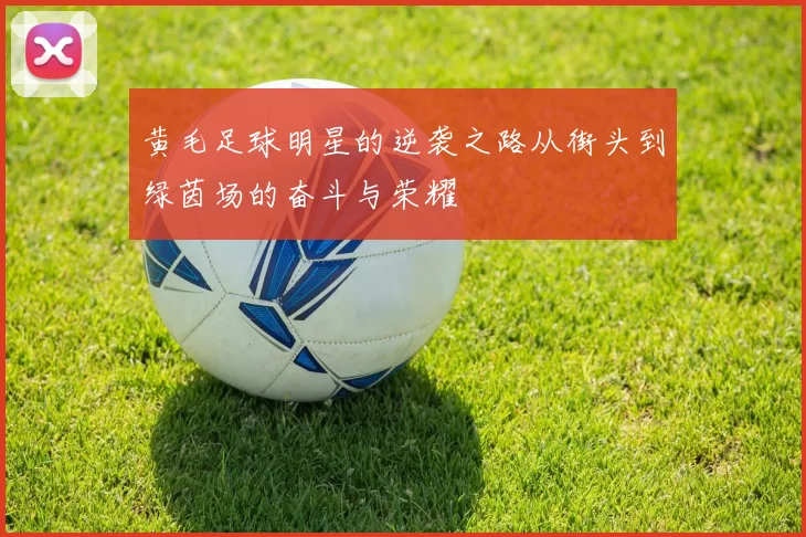黄毛足球明星的逆袭之路从街头到绿茵场的奋斗与荣耀