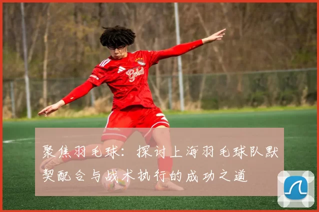 聚焦羽毛球：探讨上海羽毛球队默契配合与战术执行的成功之道