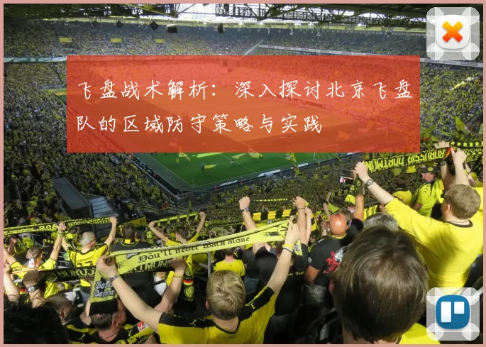 飞盘战术解析：深入探讨北京飞盘队的区域防守策略与实践