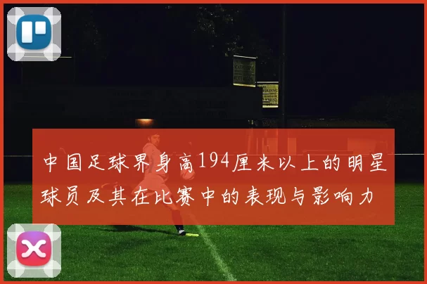 中国足球界身高194厘米以上的明星球员及其在比赛中的表现与影响力分析