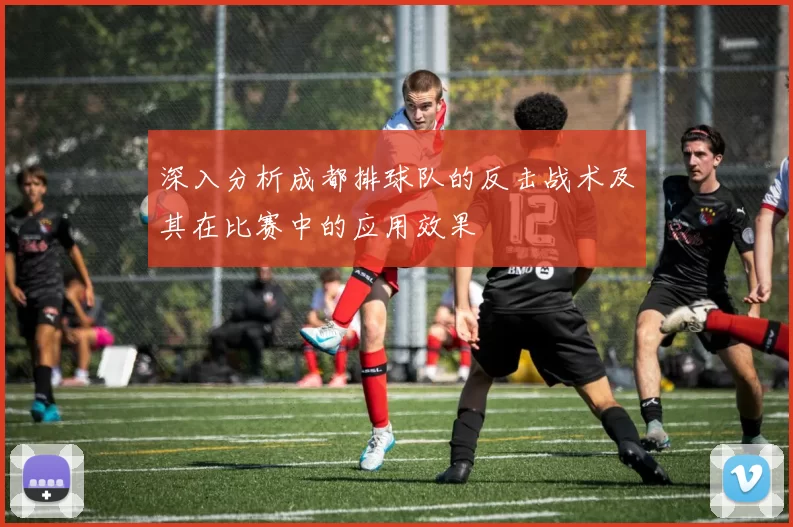 深入分析成都排球队的反击战术及其在比赛中的应用效果