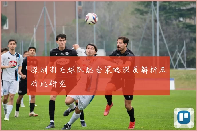 深圳羽毛球队配合策略深度解析及对比研究