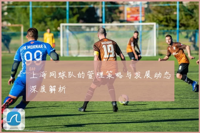 上海网球队的管理策略与发展动态深度解析