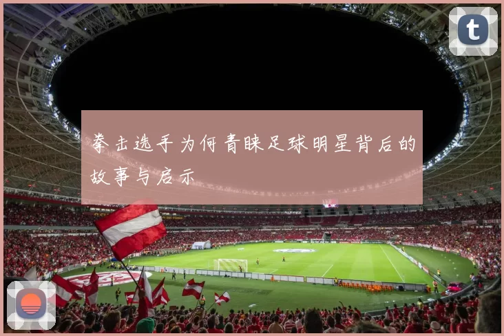 拳击选手为何青睐足球明星背后的故事与启示