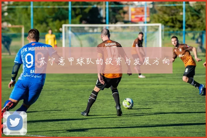 苏宁意甲球队的投资与发展方向