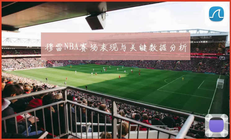 穆雷NBA赛场表现与关键数据分析