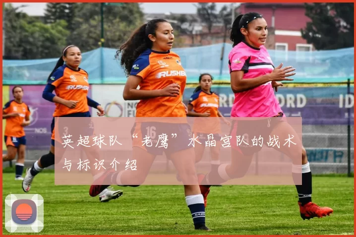 英超球队“老鹰”水晶宫队的战术与标识介绍