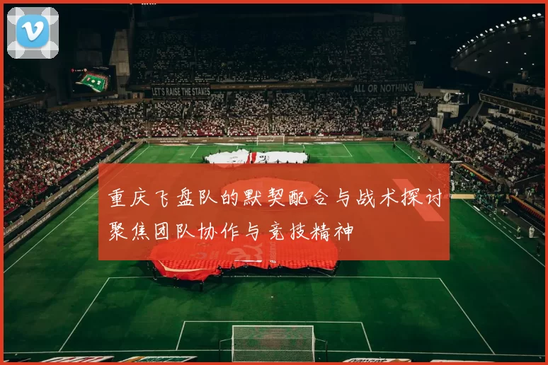 重庆飞盘队的默契配合与战术探讨聚焦团队协作与竞技精神