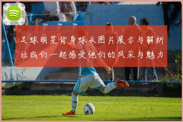 足球明星背身球衣图片展示与解析让我们一起感受他们的风采与魅力