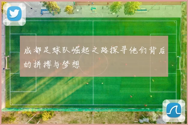 成都足球队崛起之路探寻他们背后的拼搏与梦想