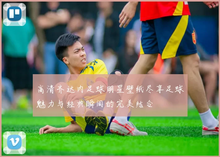 高清齐达内足球明星壁纸尽享足球魅力与经典瞬间的完美结合