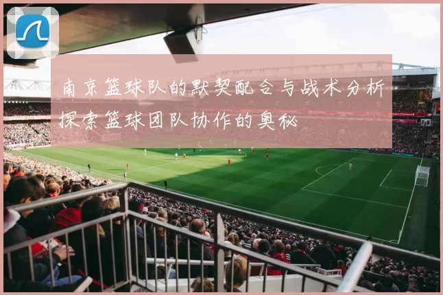 南京篮球队的默契配合与战术分析探索篮球团队协作的奥秘