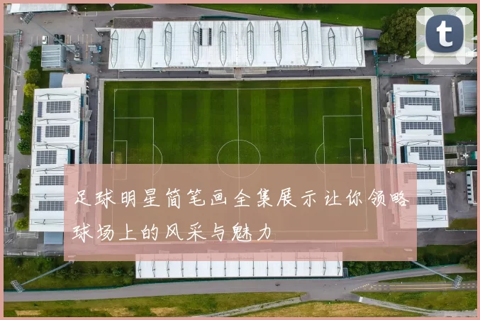 足球明星简笔画全集展示让你领略球场上的风采与魅力