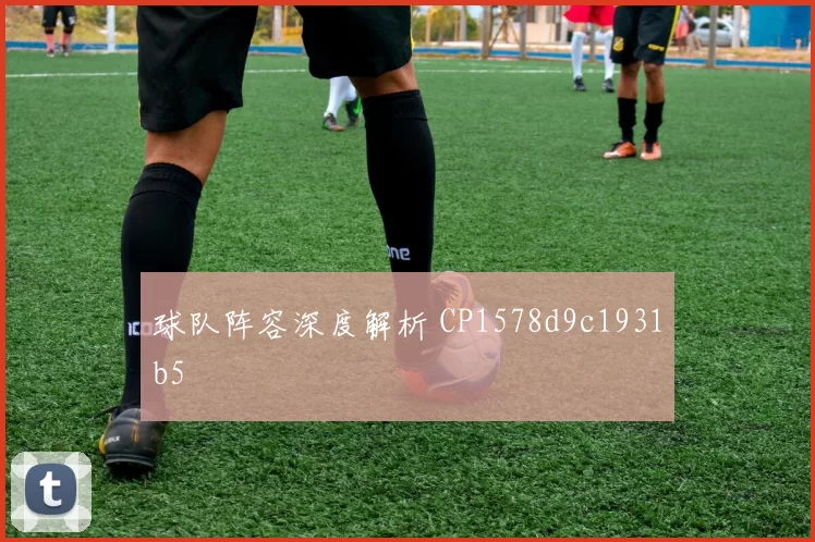 球队阵容深度解析 CP1578d9c1931b5