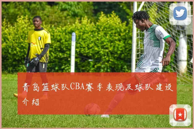 青岛篮球队CBA赛季表现及球队建设介绍