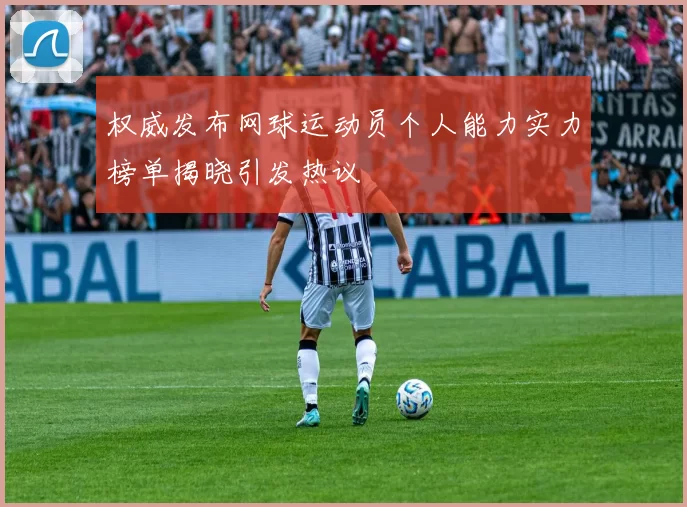 权威发布网球运动员个人能力实力榜单揭晓引发热议